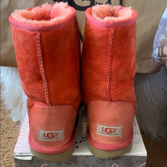 burnt orange uggs